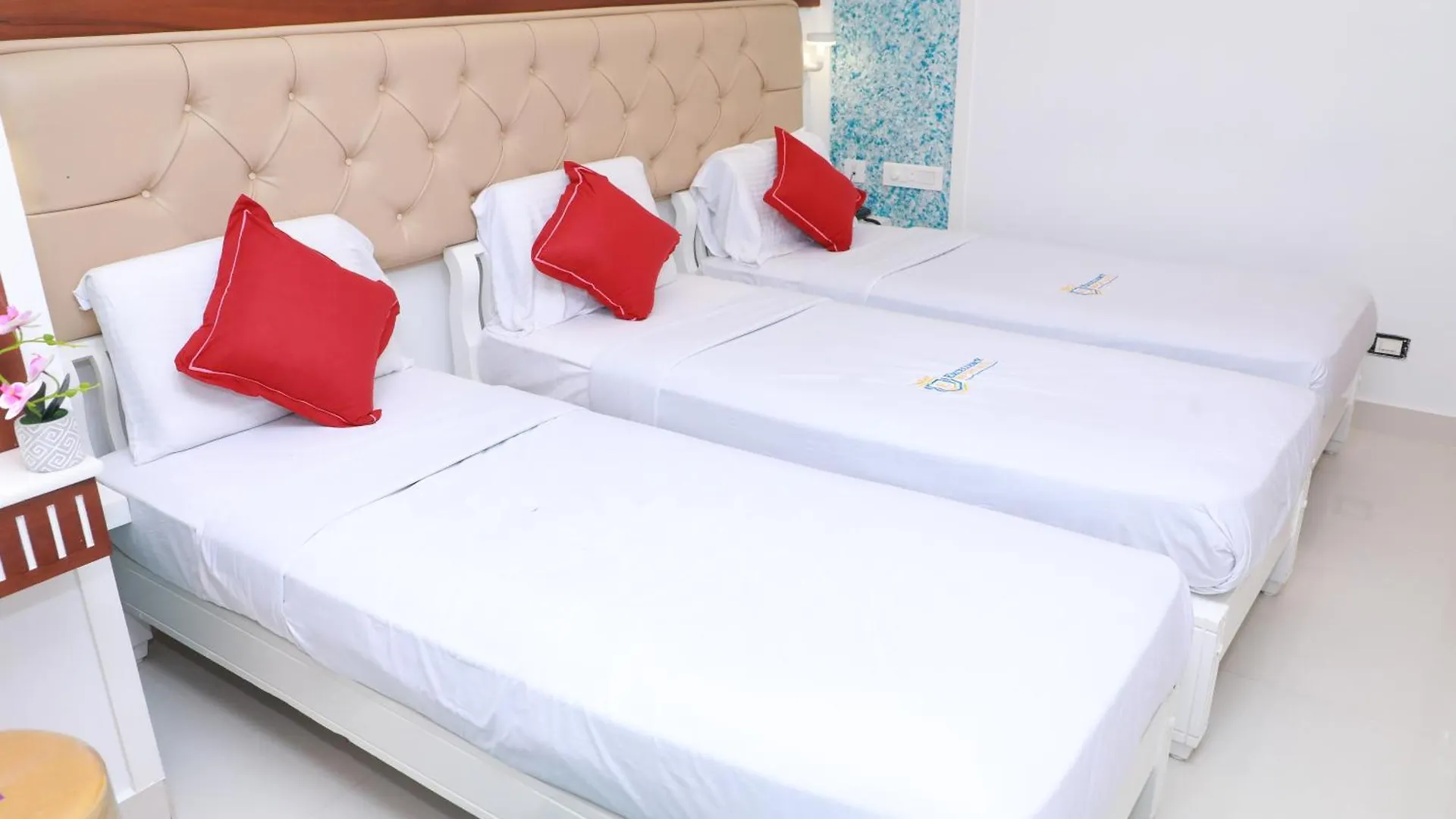 ***  Excellency Airport Hotel Kochi India